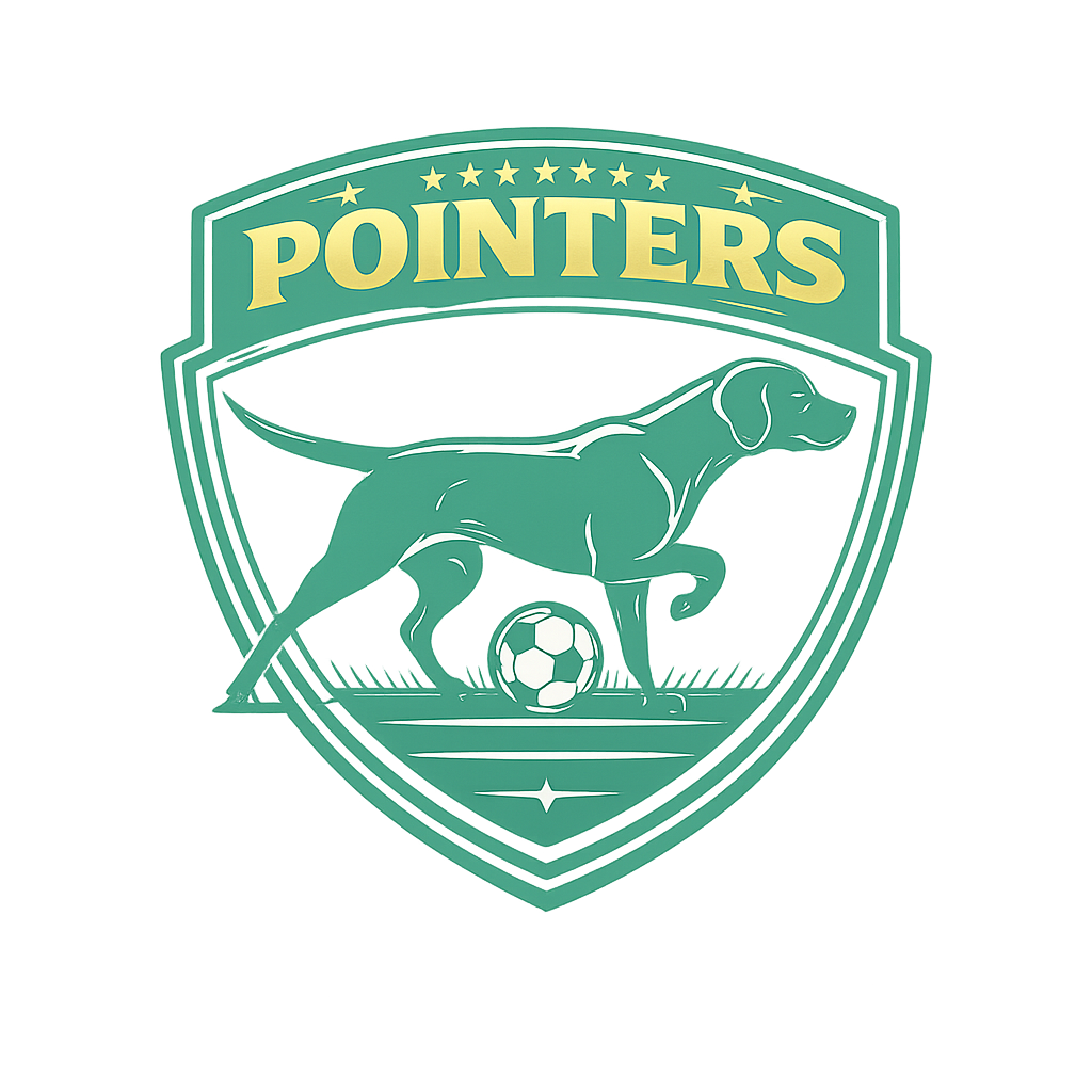 Pointers shield